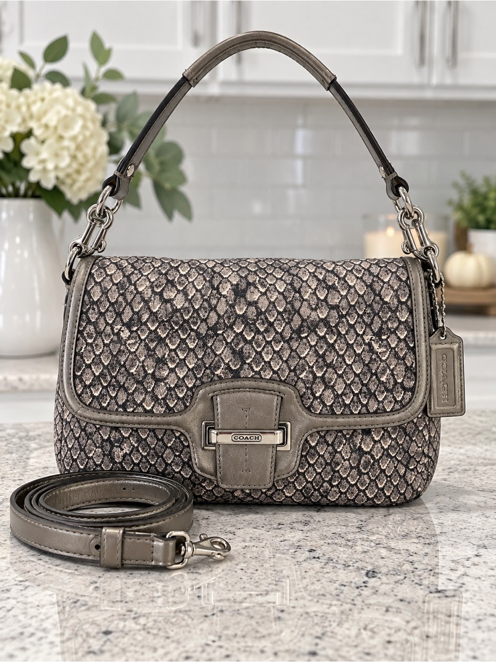 Coach Taylor Snake Print Crossbody Shoulder Bag F26036 Metallic Leather